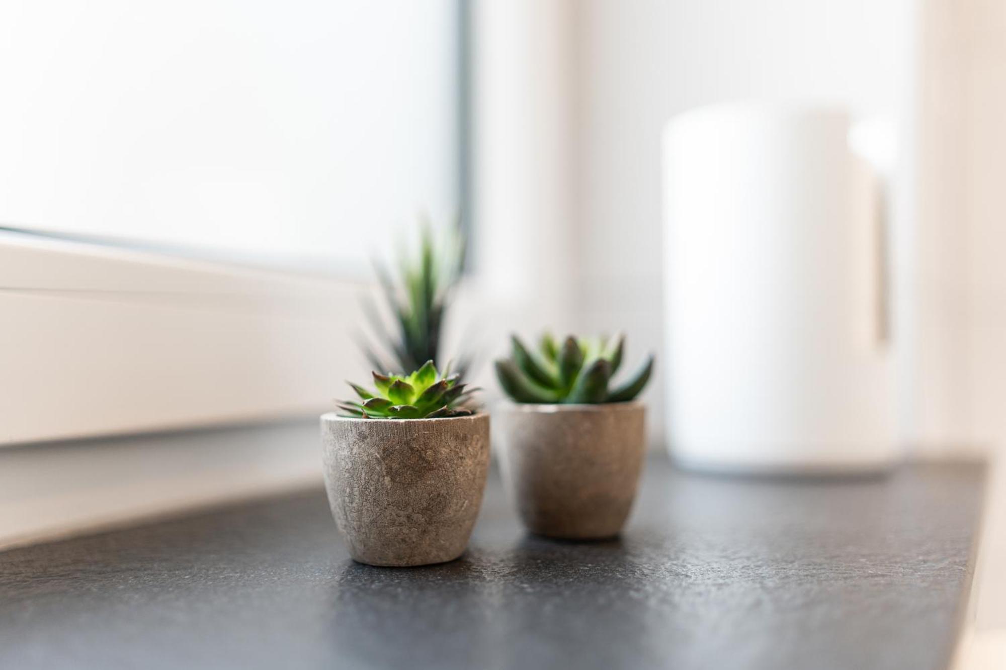 Hozo2-exklusiv Der Roze Living Appartement